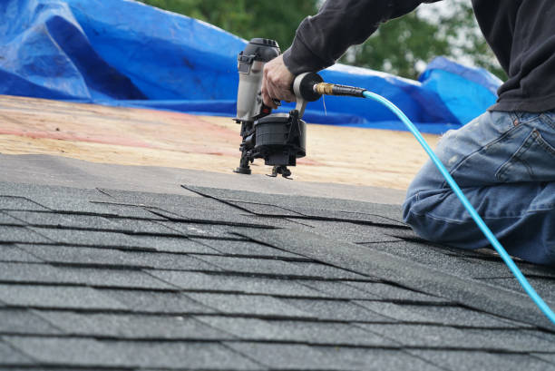 Best Solar Panel Roofing Installation  in Winchester, IL